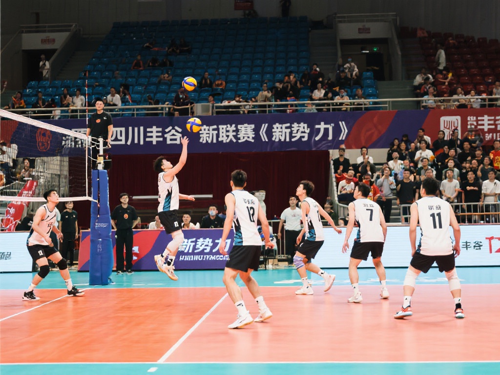 的几年并不 的几年并不